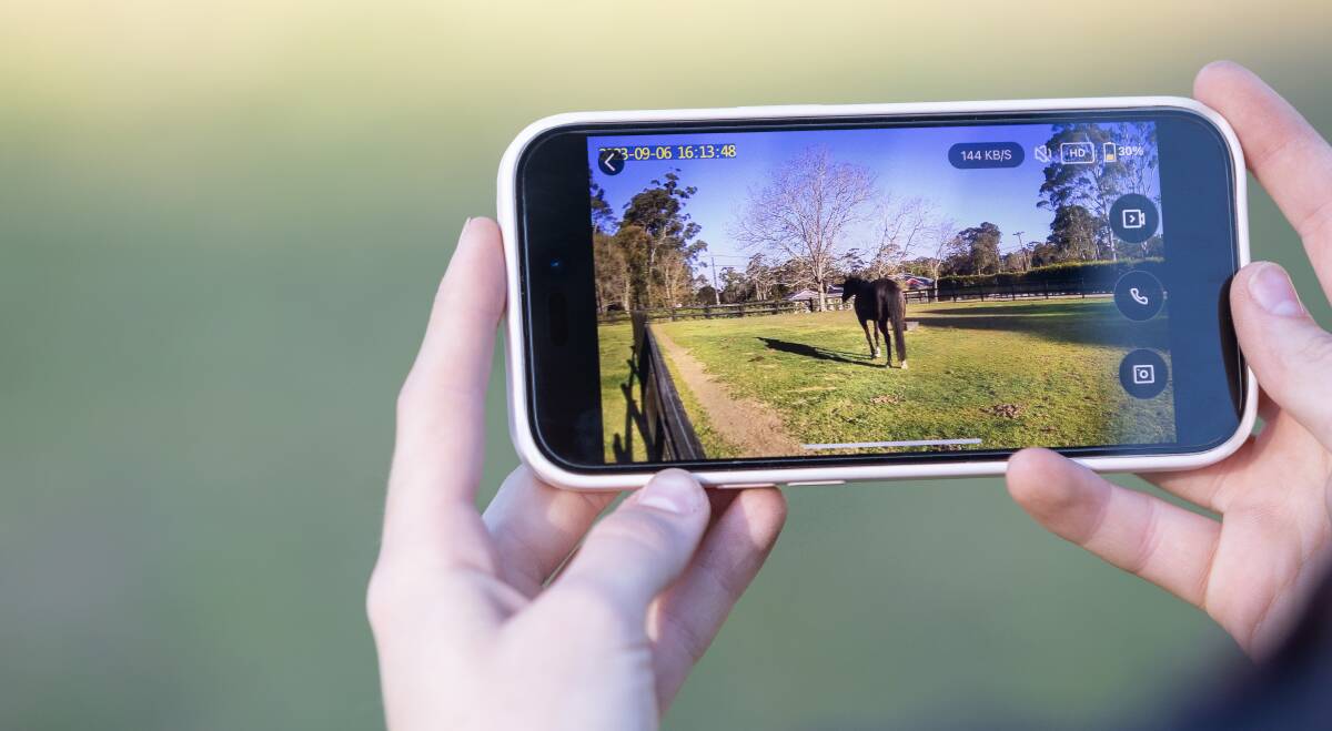 Equine Eye is about improving the safety and wellbeing of animals because you can monitor them from anywhere in the world. Picture supplied