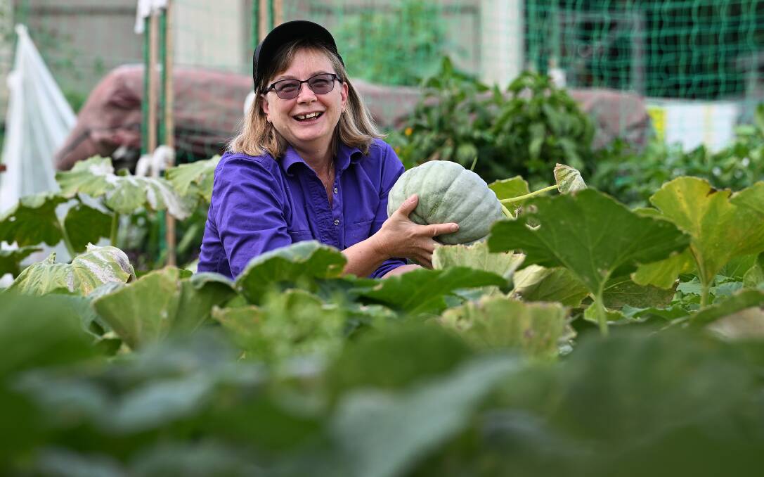 Nemingha community garden manager Lisa Thomas showcases the big pumpkins growing in their veggie patch. Picture by Gareth Gardner