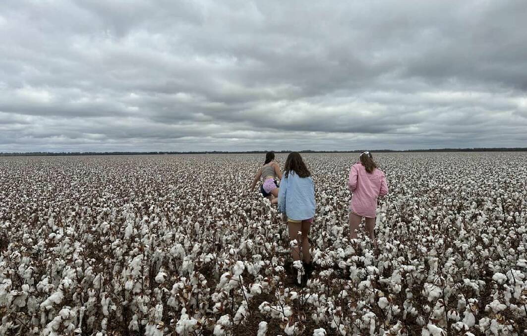 Visitors to Moree will have the opportunity to get on-farm for special cotton and pecan farm tours. Picture supplied