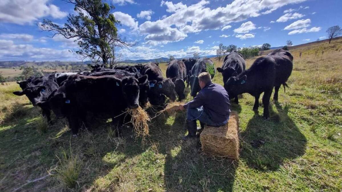 Hunter Valley farmer Angus Middlebrook, 25, is looking for love on new dating app for rural singles Howdy Global. Picture supplied