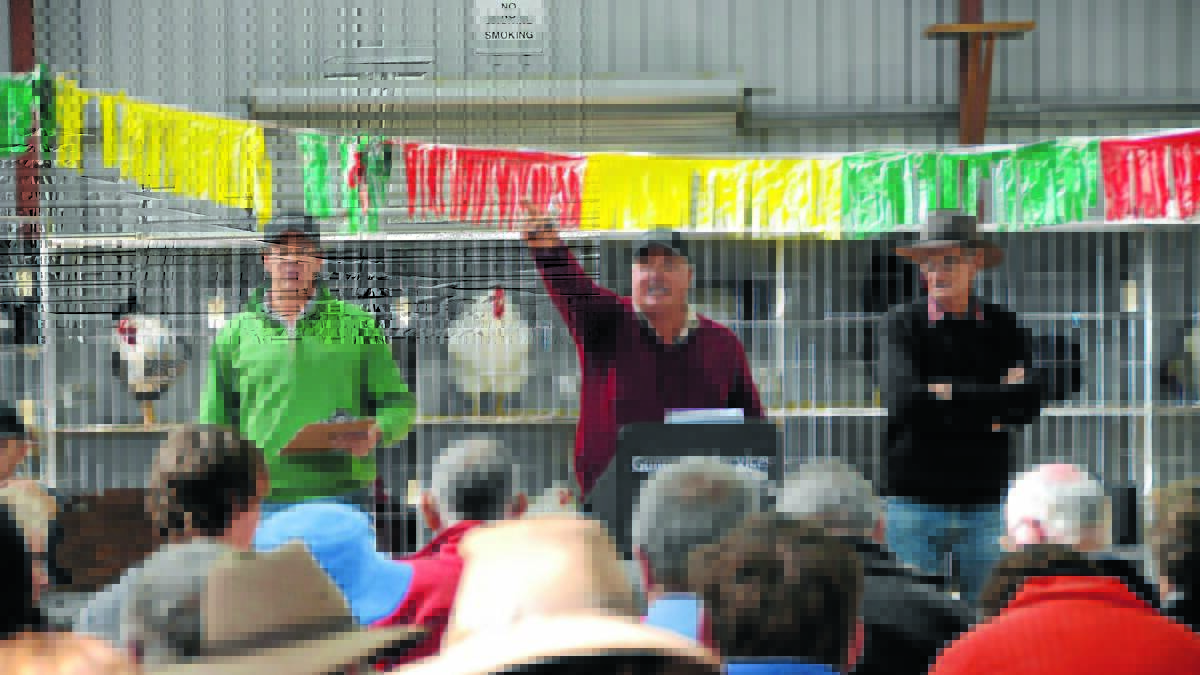 POULTRY AUCTION: Garvin and Cousens auctioneers, James Bradford, left, and Bert Hewitt, with Graham Finlay at a previous poultry sale.