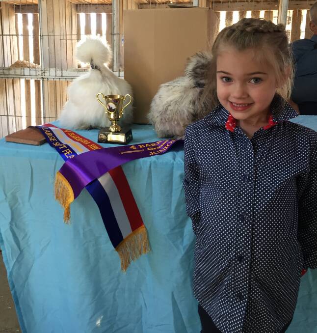 SHOW SUCCESS: Four-year-old Gunnedah youngster Felicity Mammen saw success at Barraba Show last weekend with her prize Chinese Silkies.