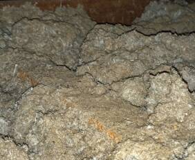 Asbestos: 250 Tamworth home owners are being offered free testing.