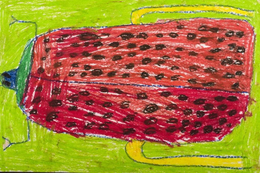  'Busy Bertie Beetle': Alexander Sobbel, Kindergarten, Tamworth Public School.