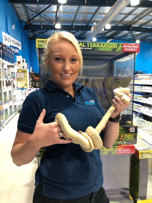 Manager of Pets Domain Chey Conlan with a very slippery character. Photo: Supplied.