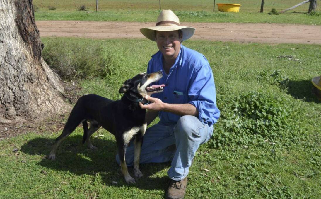 MAN'S BEST FRIEND: Delungra's Matt Ehsman and his seven-year-old dog Minute. Matt breeds working dogs on his property. 