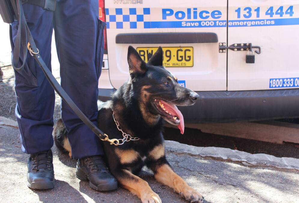 CANINE JUSTICE: Our local police dog is ready and rearing to go after passing its final test last week.