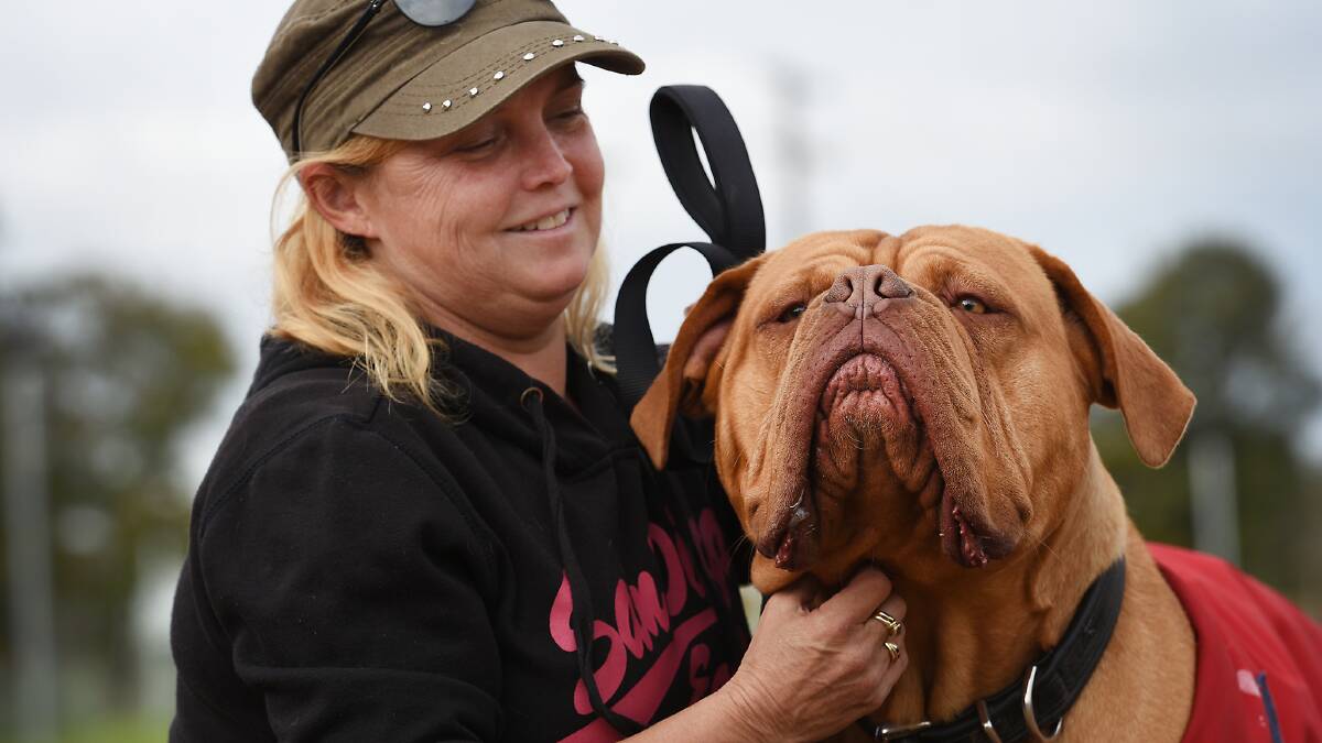 SAFETY FIRST: Toscha Anastasia with her Dogue de Bordeaux Micky at the first ever  vaccination day on Tuesday. Photo: Gareth Gardner 200716GGA15