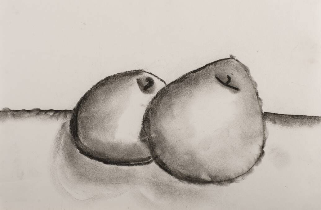  'A pair of pears': Kqallen Davis, Year 4, Westdale Public School, Tamworth.
