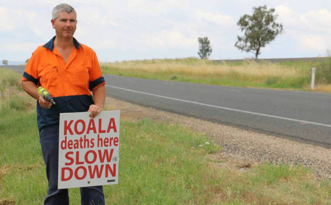 WARNING: Gunnedah Urban Landcare Group member George Truman uses a drill to great effect to warn drivers to look out for koalas. Photo: John Lemon