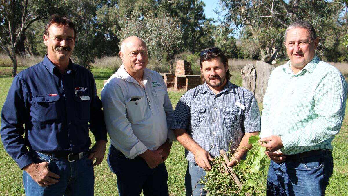 WEED WAR: Peter Dawson (North West LLS); Stephen Geddes, Invasive Species Management Services; Troy Brown, NSW DPI; Tony Cook, NSW DPI Tamworth.