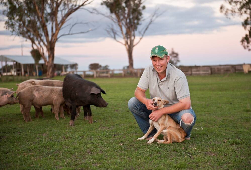 Free range: Ben Clinch at his parents' farm in Barraba with some of their free range pigs. Next year he hopes to be able to sell free range pork at Tamworth. Photo: Supplied.