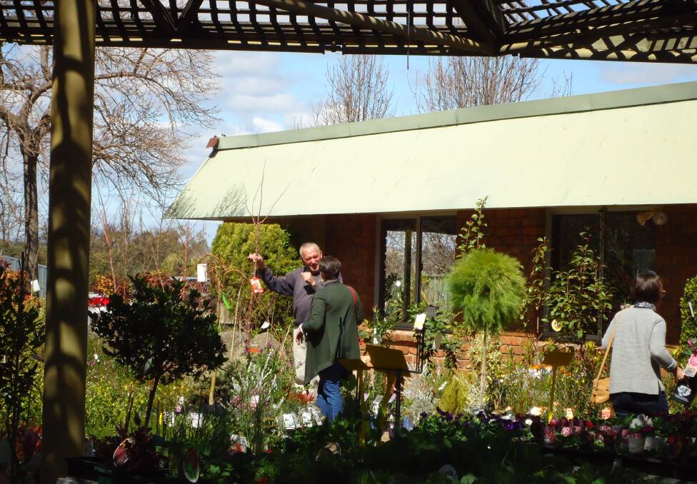 Above and beyond: Staff at Heemskerk's Nursery, Tamworth, are willing and able to give professional advice on plants and conditions to get the best results.