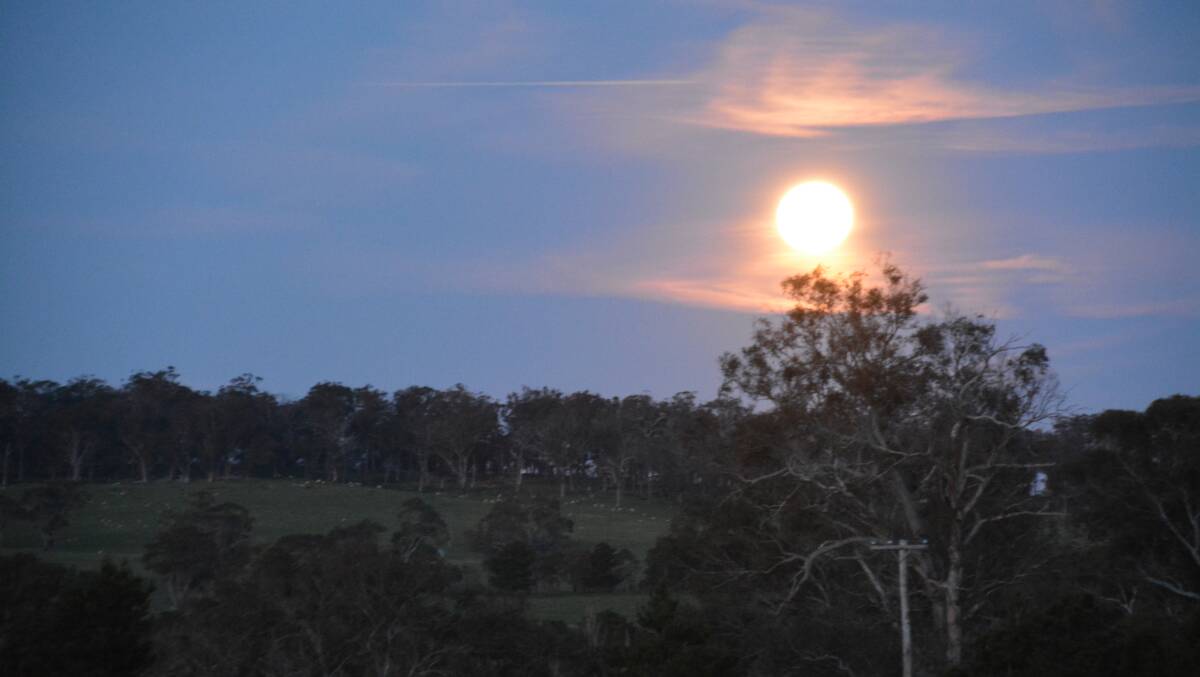 Moon rise: The full moon rising recently at a property near Walcha. Photo: Stephanie van Eyk