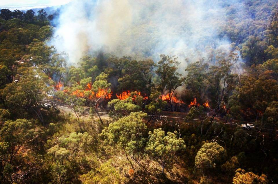 ONGOING: The firefighters have been battling the blaze for days. Photo: RFS
