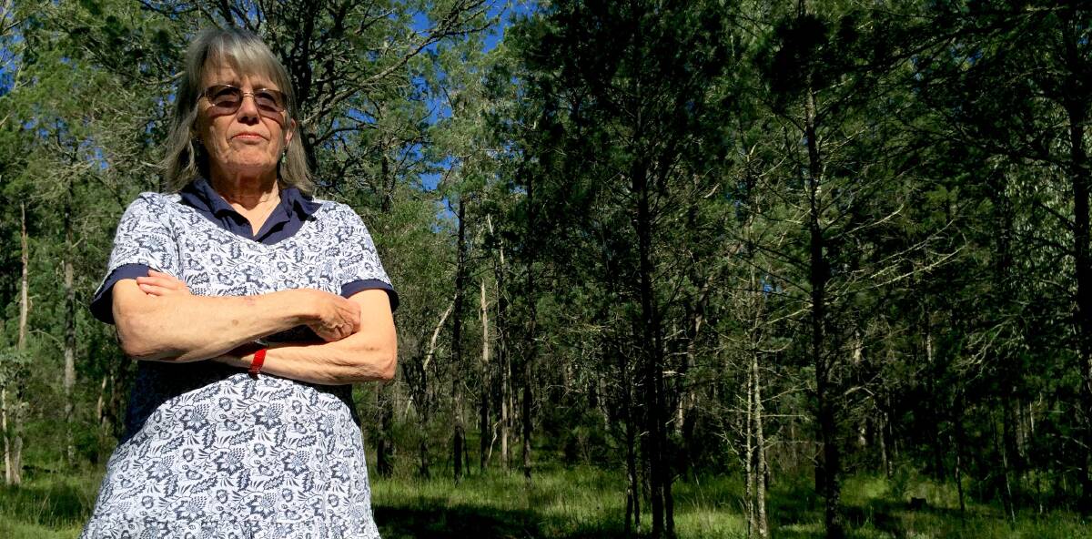 DANGEROUS MIX: Kate McLaren says hunting and recreational activities won't mix in the small forest. Photo: Jamieson Murphy