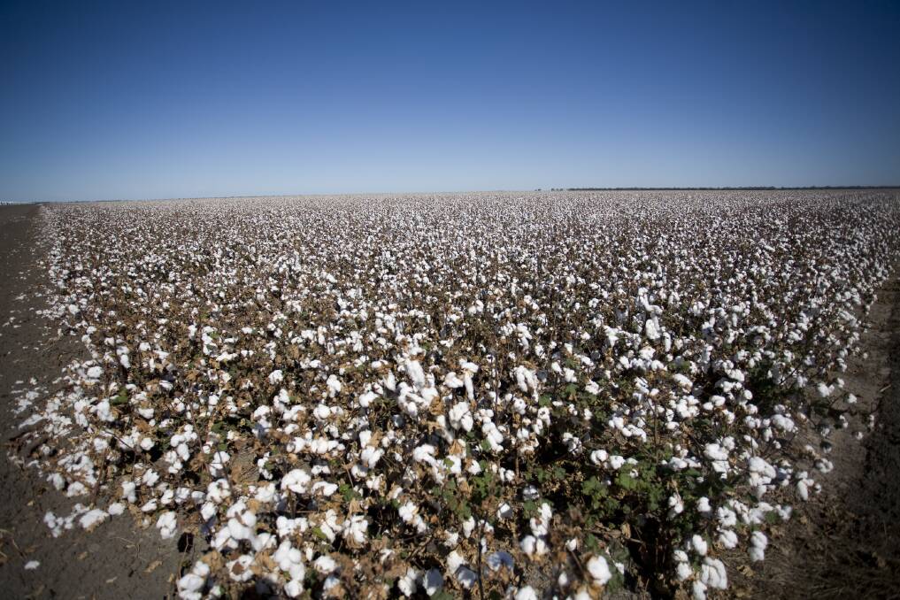 Groups cotton on to Landcare grants