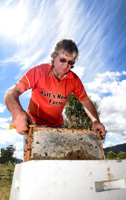 WEALTH OF KNOWLEDGE: Tamworth Apiarists Association president Ray Hull has been a commercial beekeeper for 25 years. Photo: Gareth Gardner 151116GGA05