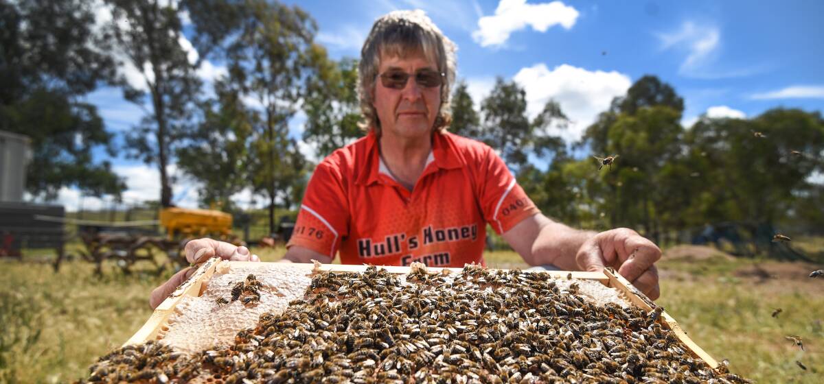 BIG DAY: Beekeepers from Inverell, Glen Innes, Newcastle and Coffs Harbour will travel to the event. Photo: Gareth Gardner 151116GGA02