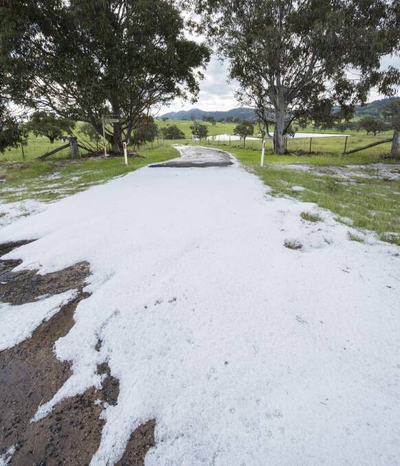 Wild weather: Witnesses said the fierce hail storm was like snow when it lashed Moonbi on Friday afternoon. Photo: Peter Hardin