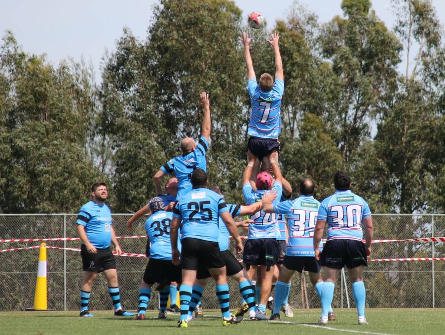 Top form: Josh Dowse, number 7, strides to the top to win a line out in Friday's round-robin competition. Photo: Oxley Cods