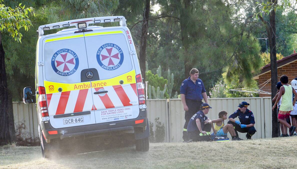 Help on the way: Firefighters treat the young boys before paramedics arrive. Photo: Gareth Gardner