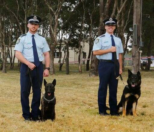 In the spotlight: Constable Adam Gersback and police dog Johnoo, both pictured right, officially graduate from the academy on Friday. Photo: NSW Police