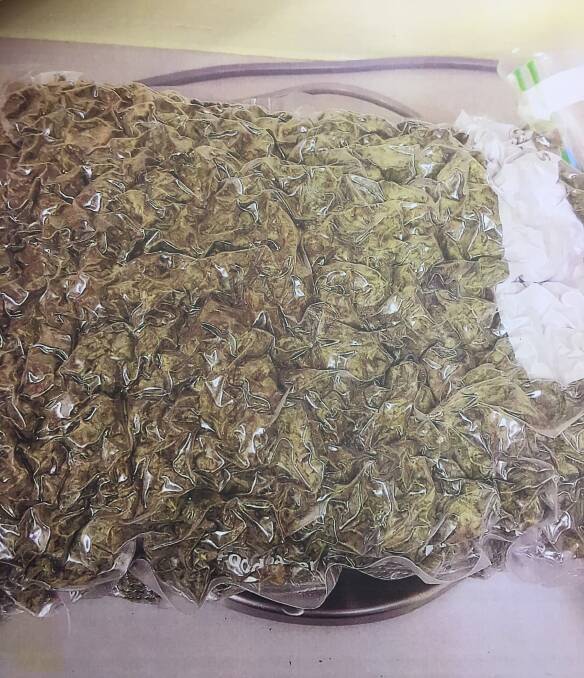 18 months: Lochie Jenkins is being housed in a Cessnock prison and has been in custody since his May 2 arrest at Dundee where police uncovered this cannabis.