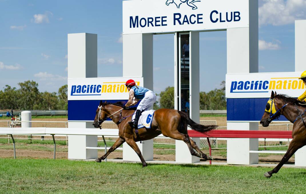 Dashing display: Queensland galloper Shadow Show led from start to finish in Saturday's Pacific National Westpac Chopper Cup (1400m) at Moree. Photo: Michelle Mitchell