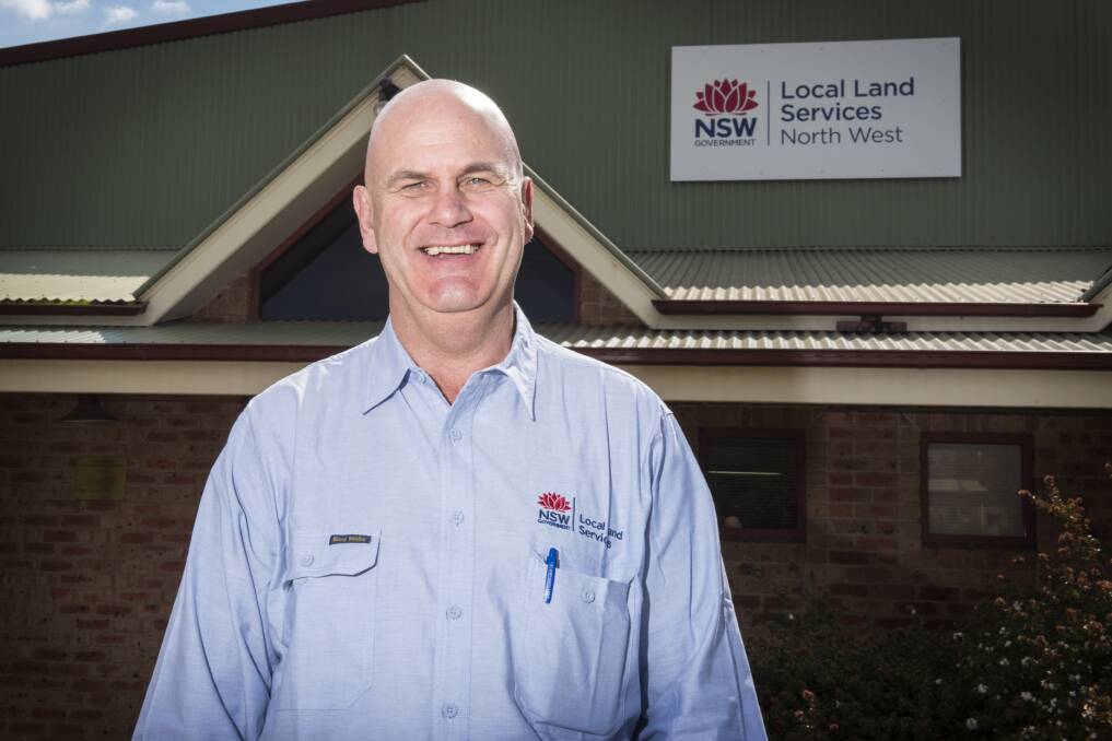 HIGH IMPACT: North West Local Land Service biosecurity officer Greg Lumber is pleased with the results he has seen on a property north of Gunnedah following release of the rabbit virus.