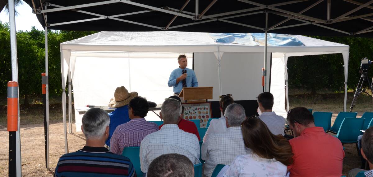 GREAT OPPORTUNITY: Gunnedah mayor Jamie Chaffey welcomes the crowd to the citrus field day. Photo: Billy Jupp