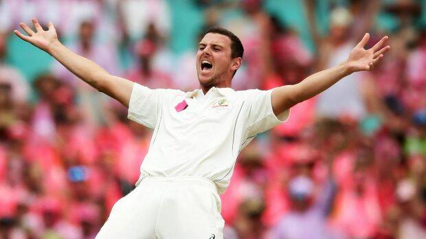 Caught in the middle: Josh Hazlewood. Photo: Getty Images

