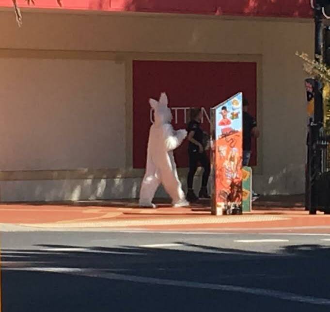HOP TO IT: Spotted in Peel St, Tamworth, a couple of days before Easter. 