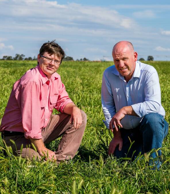 MISSION FOR NUTRITION: Tamworth Elders livestock production adviser Adam Turnbull and Bayer area manager Steven Highlands.