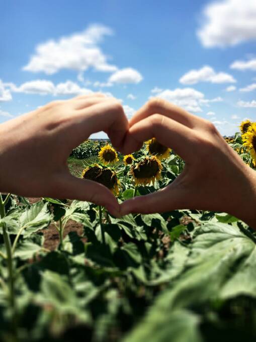Best friends, sunflowers and clear skies at Mt Russell. Photo: Lauren Kilkeary
