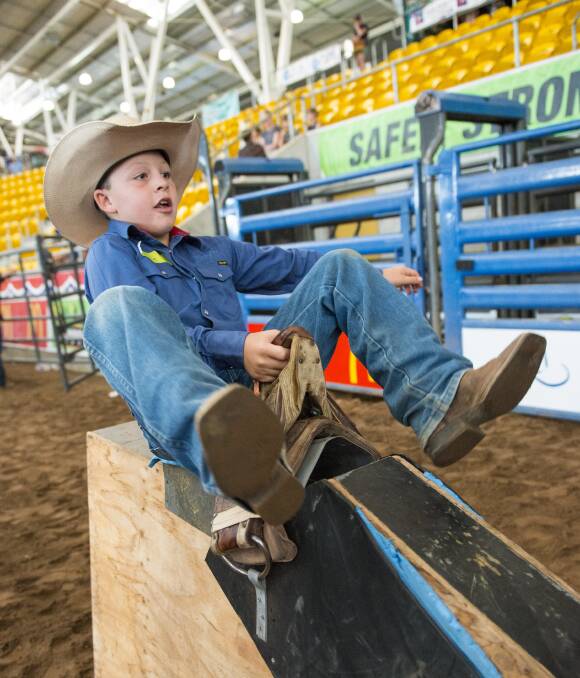 HOLD ON: Jake Wamsley of Willow Tree got hands-on at the Mavericks Build a Cowboy/Cowgirl Day. 240117PHA157