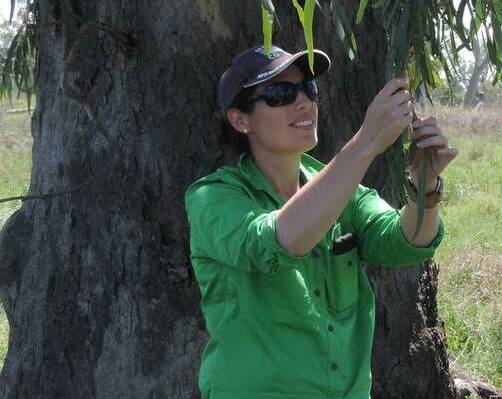 RESEARCH: UNE research fellow, Dr Rhiannon Smith, has found native vegetation sequesters large amounts of carbon.