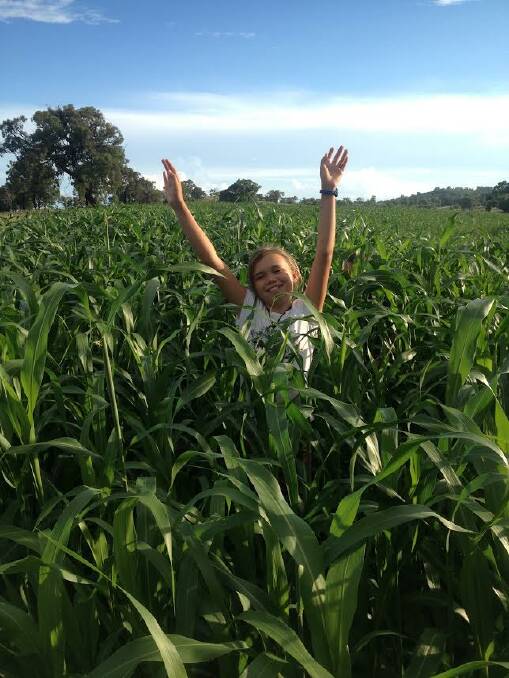 CHEERING: Abby Croll in SSS 40 days after planting.