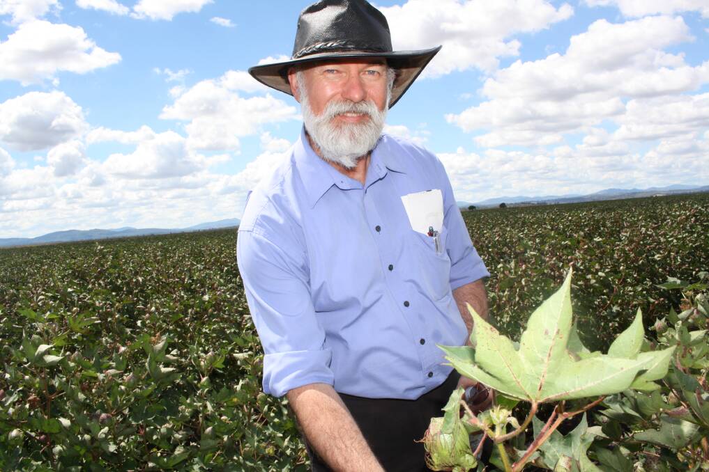 Weed weapon: Graham Brodie from the University of Melbourne with cotton crops at Pine Ridge where he demonstrated the effects of microwave energy in weed control.