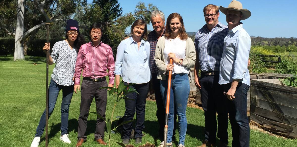 Export beginnings: Ping and Mr Xiang from NingBo China with Fiona, Robert, Charlotte, George and Edward Hoddle at the orange farm.