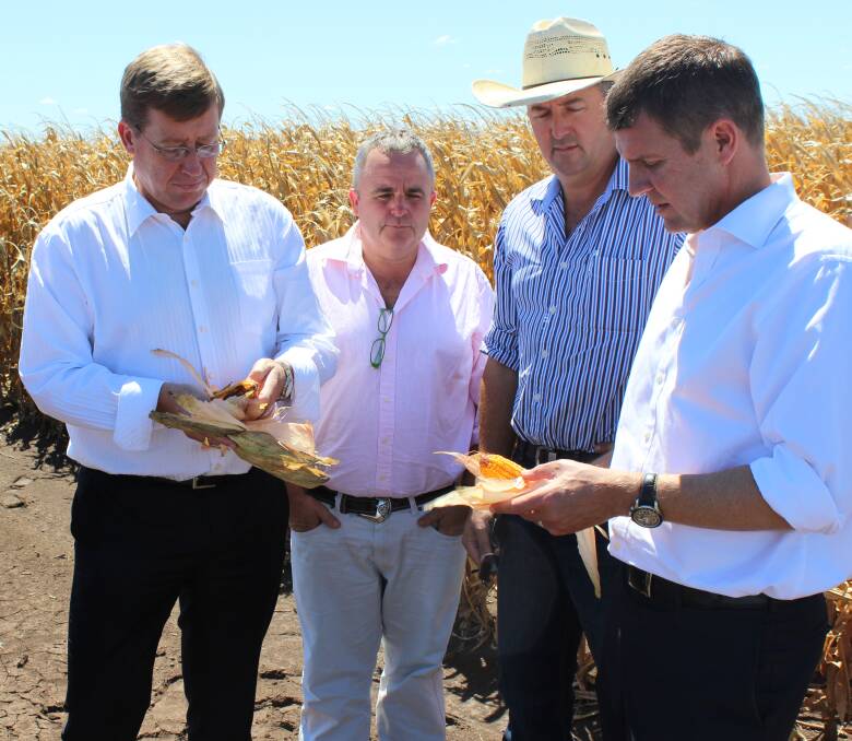 GONE: Former Deputy Premier Troy Grant, Tim Duddy, John Hamparsum and outgoing Premier Mike Baird take a close look at corn crops on the Liverpool Plains during a visit to the region in 2015.