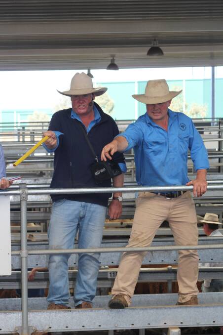 IT'S A SALE: Purtle Plevey Agencies' Samuel Plevey and Patrick Purtle in action at the weekly livestock sales. Purtle Plevey Agencies began in 1911.