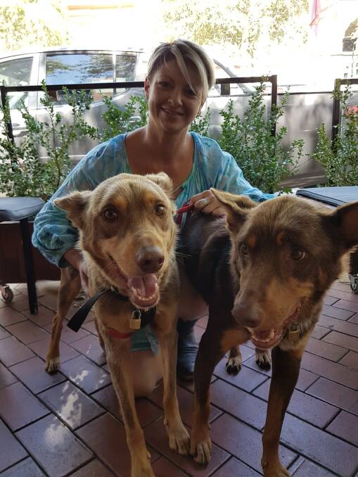 Brothers in arms: Jen Collard was all smiles after Dusty was reunited with his brother Buddy, following a fireworks runner and a social media campaign to find him.