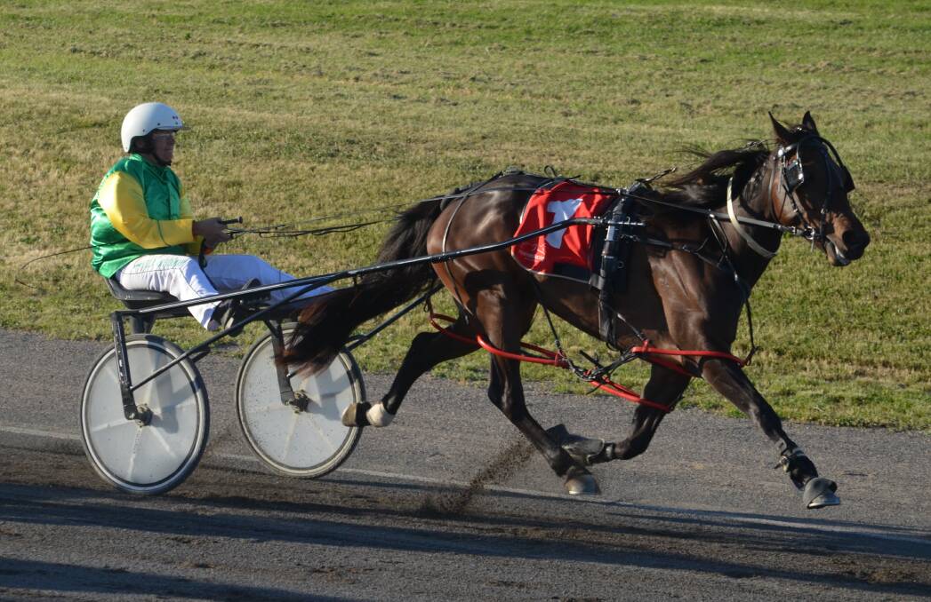 All the way: Lola Weidemann guides Irishtown Babe to a second win in a row in the first race at Tamworth on Sunday evening. Photo: Chris Bath 161016CBA01
