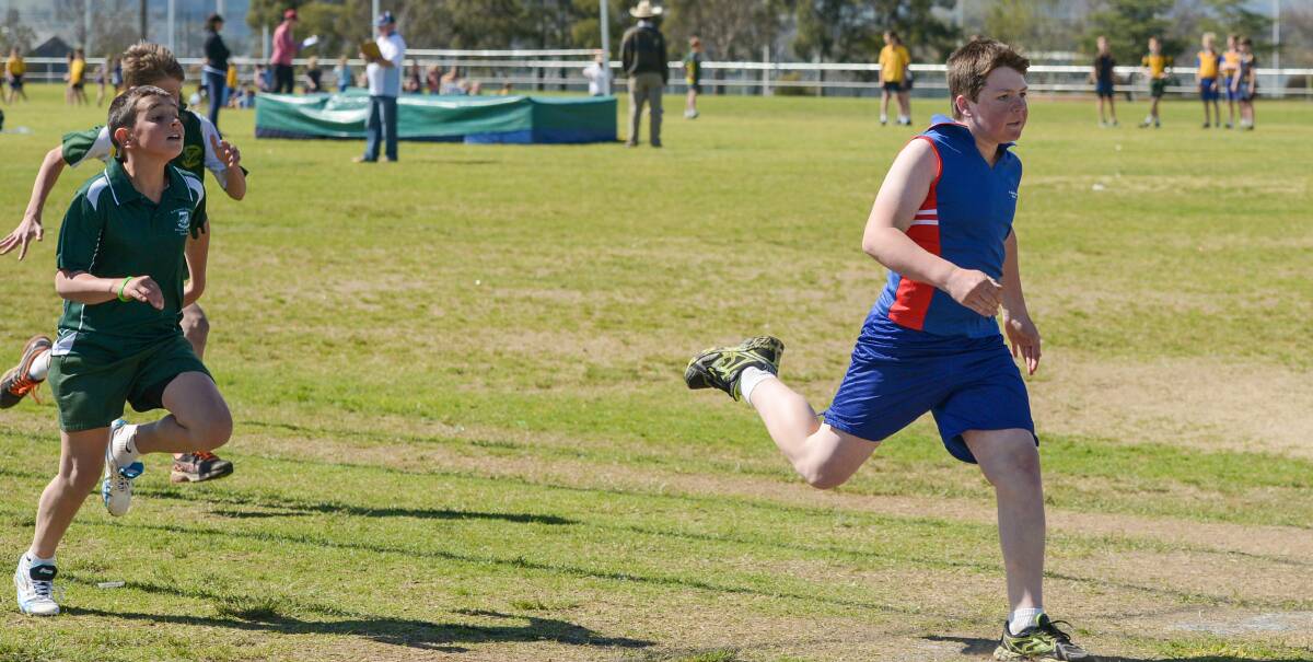 Adam Campbell bursts over the line during the 100m at the Diocesan Carnival in Tamworth last week.  Photo: Peter Hardin 190816PHC46