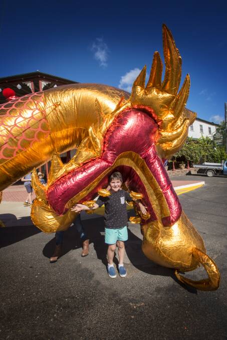 Golden weekend: Alex Burr gets a close up look at the giant golden dragon which is taking centre stage at this year's Nundle Festival. Photo: Peter Hardin 130417
