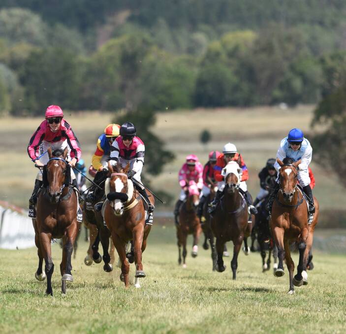First past the post: In form Tamworth trainer Zach Hatch was on course to see gelding Desoto (pink) break his maiden in Quirindi on Saturday just ten days after joining the stable. Photo: Gareth Gardner 031216GGD21