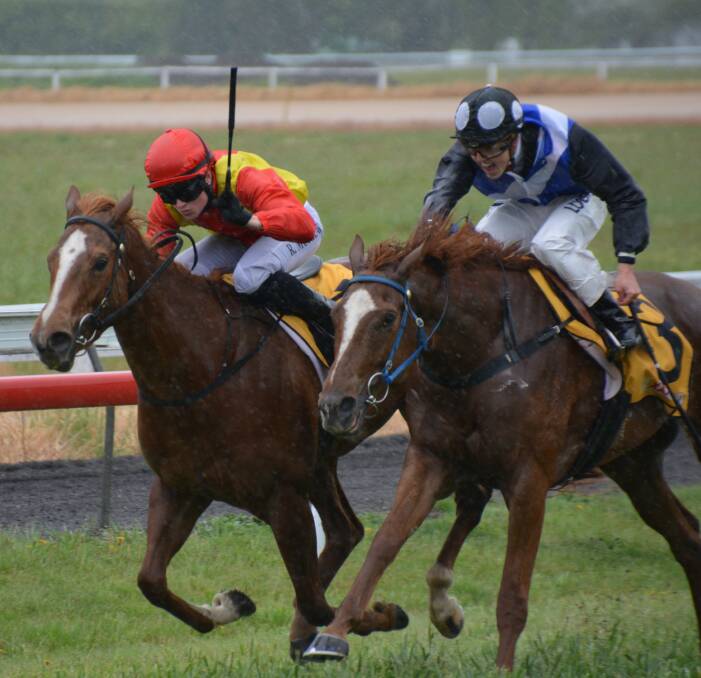 A CLOSE FINISH: Miami Jetstream won by a mere margin of 0.1 while No. 3 Sathern finished second in the opening race of the Barbarians Cox Plate at Armidale on Saturday.