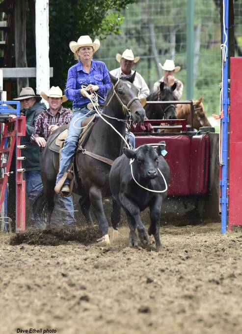 Cowgirl up: Cherie O'Donoghue ropes a steer at the APRA rodeo.