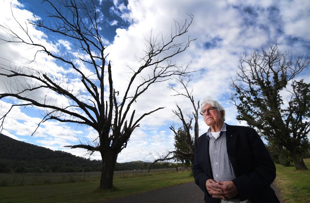 End of an era: Former mayor Warren Woodley wants to see a tree-change for the future of King George Ave. Photo: Gareth Gardner 040517